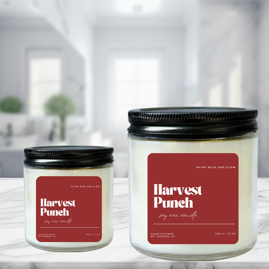 Harvest Punch ~ Orange * Cranberry * Cinnamon