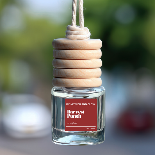 Harvest Punch Car Diffuser ~ Orange*Cranberry*Cinnamon